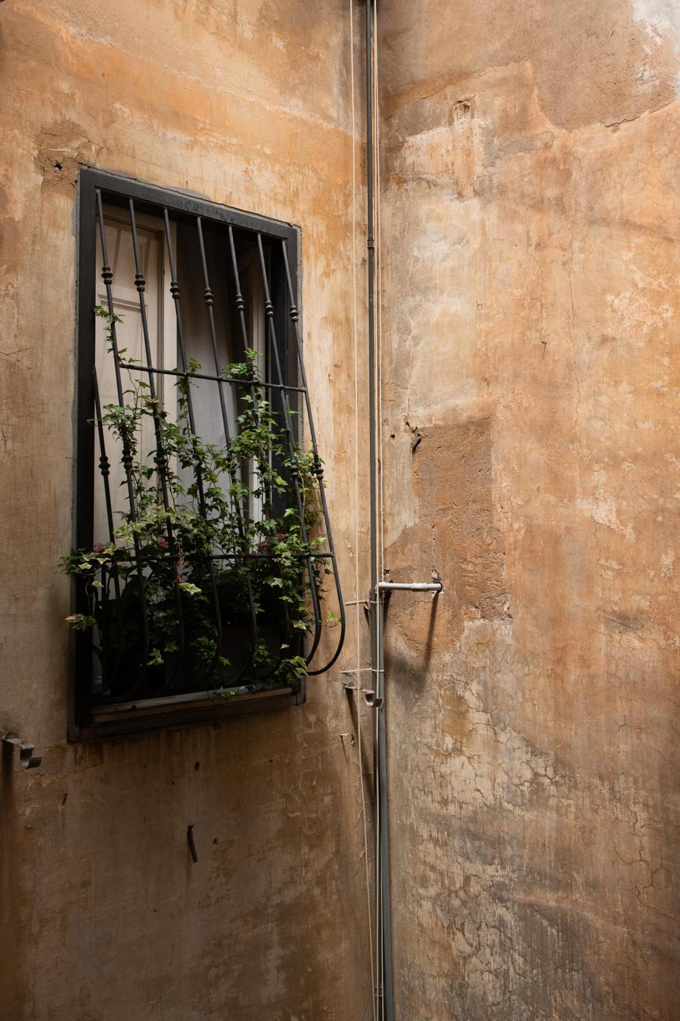 Colosseum View Accomodation Rom Exterior foto